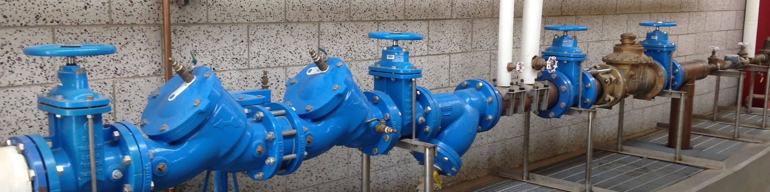 backflow testing services